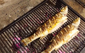 Tajne Dalmatinaca: Evo kako da vam se riba nikada ne zalijepi za roštilj