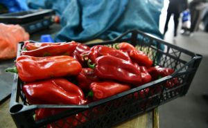 Priprema ajvara: Ovaj trik su koristile naše nane da najbrže ogule pečene paprike