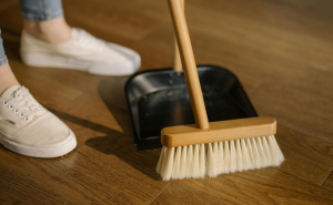 Kako smanjiti nakupljanje prašine u domu: Potrebna vam je jedna neobična biljka