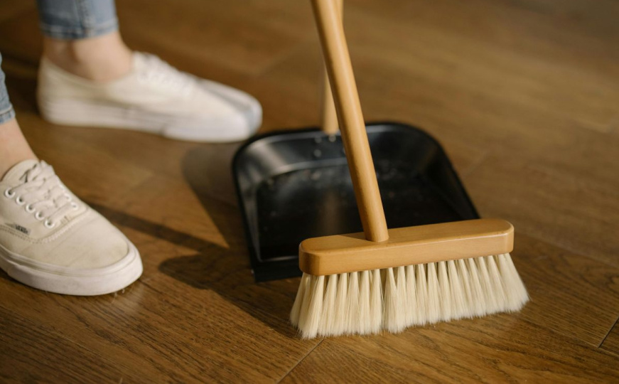 Kako smanjiti nakupljanje prašine u domu: Potrebna vam je jedna neobična biljka