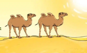 Ova slika sadrži nešto nelogično: Možete li uočiti grešku?