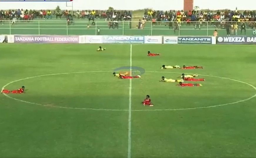 Neobičan incident na utakmici: Roj pčela prekinuo meč, svi morali da legnu