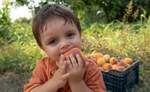 Znamo li šta jedemo? U BiH se ne obavlja analiza hrane na ostatke pesticida zbog blokade iz RS