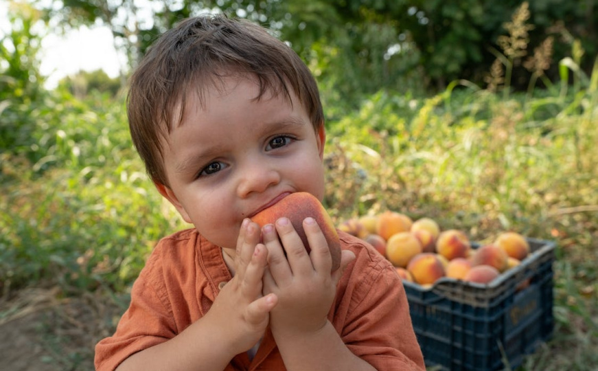 Znamo li šta jedemo? U BiH se ne obavlja analiza hrane na ostatke pesticida zbog blokade iz RS