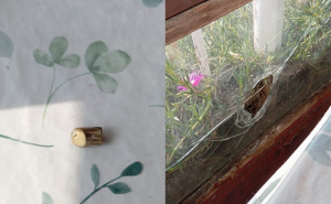 Užas u Sarajevu: Zalutali metak uletio kroz balkonski prozor na devetom spratu zgrade