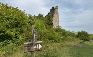 Maćehinski odnos prema historiji: Kula bega Kulenovića zarasta u korov, obnova moguća-interesa nema
