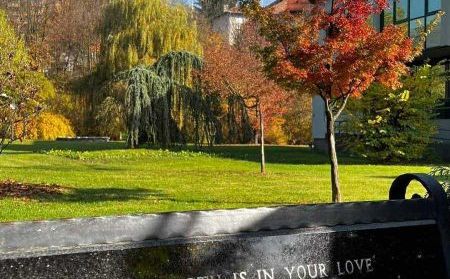 KJKP Park vas poziva na humanitarni bazar u Pionirsku dolinu: "Dođite da zajedno napravimo promjenu"