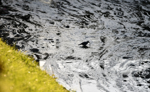 Stiže promjena vremena: Danas naoblačenje, pročitajte i prognozu do subote