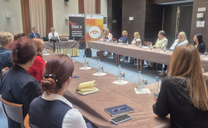 Efikasna saradnja ključna za zaštitu i podršku žrtvama seksualnog nasilja u BiH