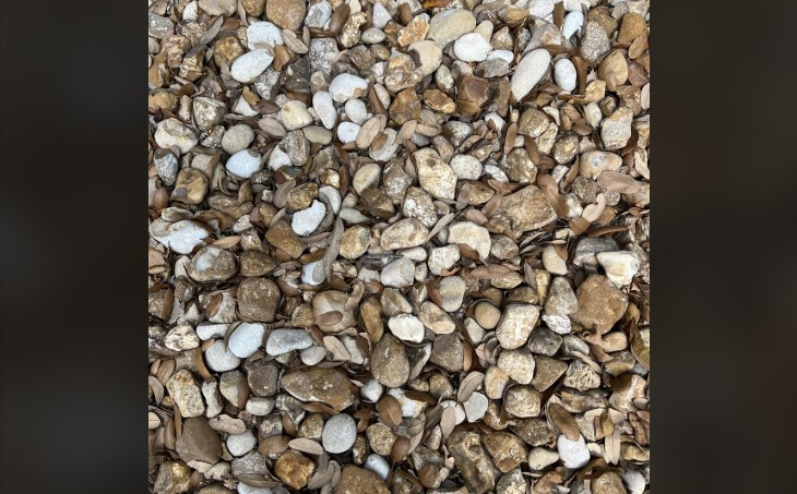 Kao u zemlju propao: Ova mozgalica je zaludjela mnoge, možete li pronaći prsten među kamenčićima?