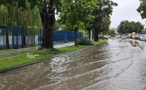 Potop u Čapljini: Ulice i parkinzi pod vodom, grane padale po vozilima
