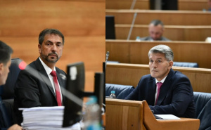 Rasprava na sjednici: Mehmedović traži preispitivanje rada Čavare, oglasila se i Vulić