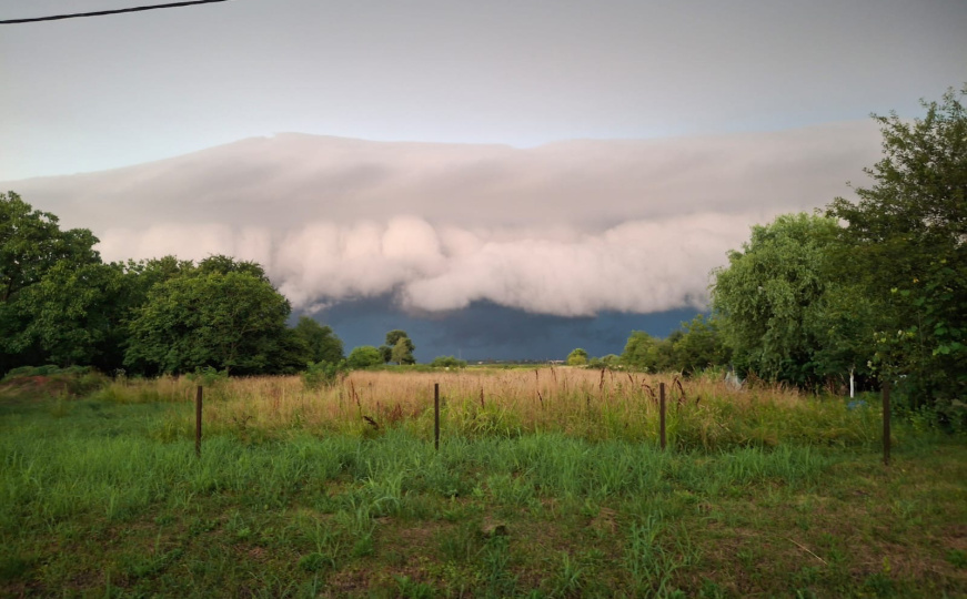 Svi vrtlari ovo moraju znati u slučaju kiše: Ovako možete spriječiti travnjak da postane močvara