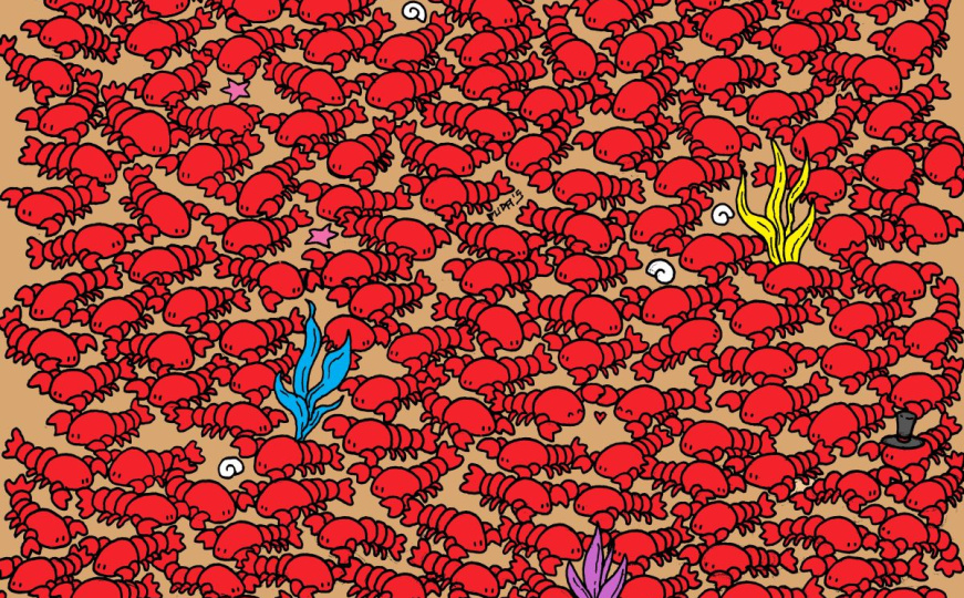 Posmatrajte pažljivo: Možete li pronaći 4 raka među jastozima?