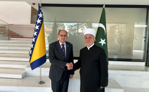 Schmidt se sastao s Kavazovićem: "Promoviranje dijaloga i pomirenja ključno za izgradnju budućnosti"