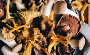 Često pitanje u kulinarskim krugovima: Treba li prati gljive prije kuhanja?