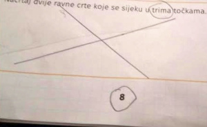 Matematički zadatak za drugi razred osnovne škole zbunio Balkan: "Ovo ni Einstein ne bi znao"
