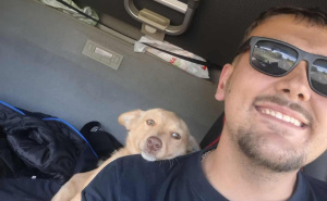 Od lutalice do suvozača u kamionu: Dejan pronašao psa na terminalu i poveo ga sa sobom na put