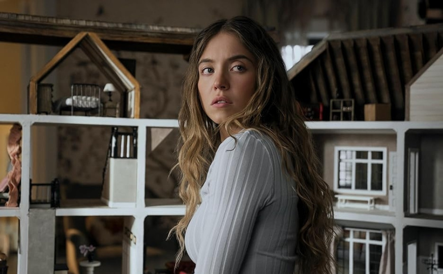 Ekranizacija popularne knjige: Sydney Sweeney i Amanda Seyfried u seksi igri tajni, skandala i moći