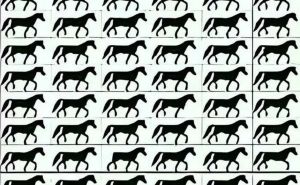 Samo oni najoštrijeg vida mogu uočiti konja bez repa u ovoj lukavoj mozgalici