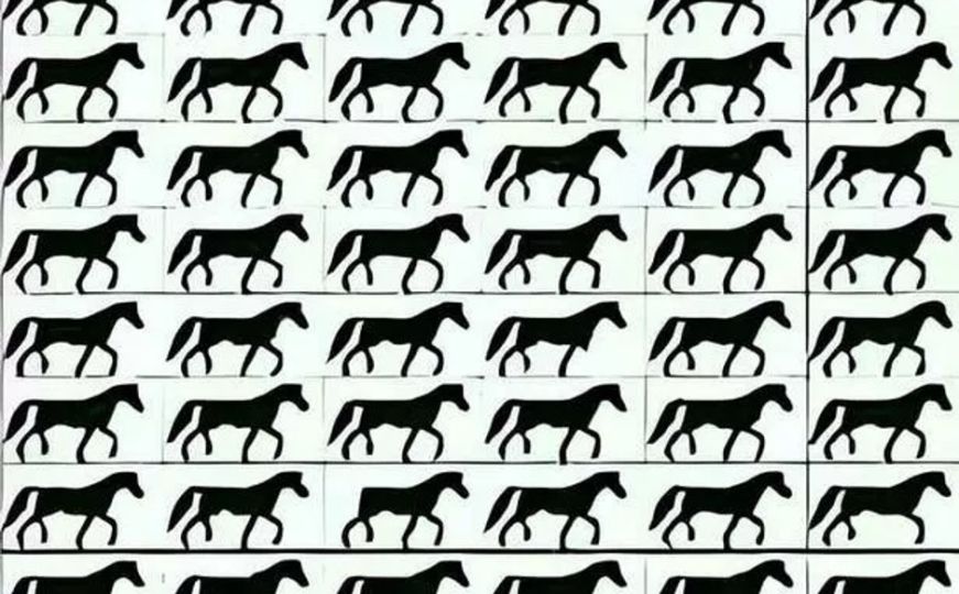 Samo oni najoštrijeg vida mogu uočiti konja bez repa u ovoj lukavoj mozgalici