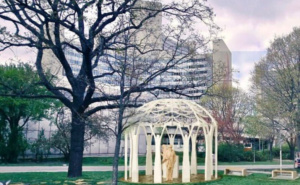 Intervju | Saračević: "Cvijet Srebrenice" u Beču podsjećat će svijet na odgovornost prema BiH