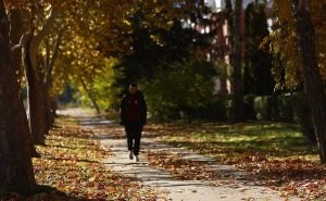 Pjesma dana: Đorđe Balašević i "Jesen stiže, dunjo moja"