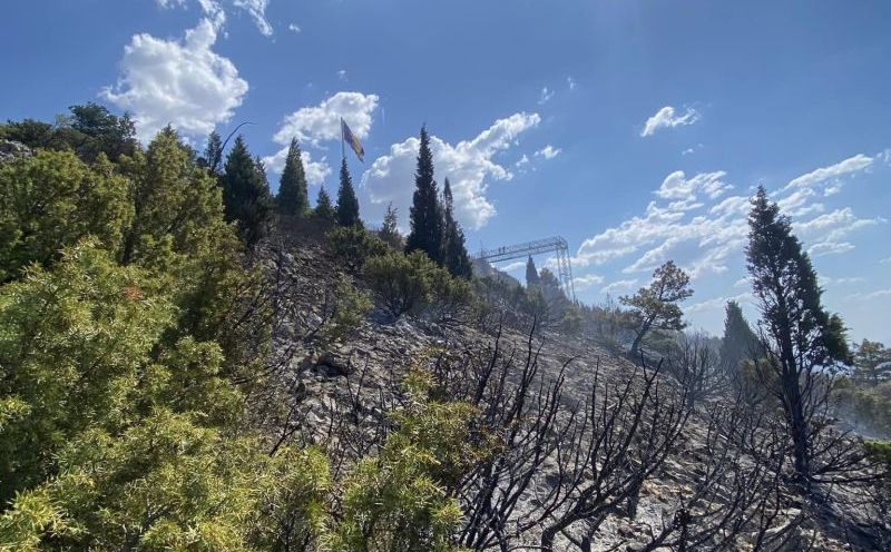 Izviđači i volonteri pošumljavaju opožarene dijelove Fortice iznad Mostara