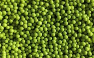 Pravilan način sortiranja graška: Ovako će biti bolja tekstura i okus