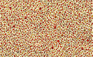 Jesenja mozgalica: Pomozimo zecu i lisici da pronađu 4 jabuke, za to imamo samo 15 sekundi