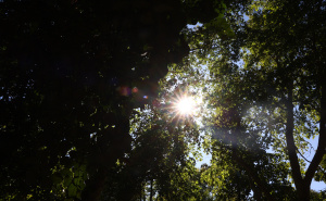 Oglasio se BH Meteo: Evo šta nam donosi jesen u BiH, najavljeno i Miholjsko ljeto