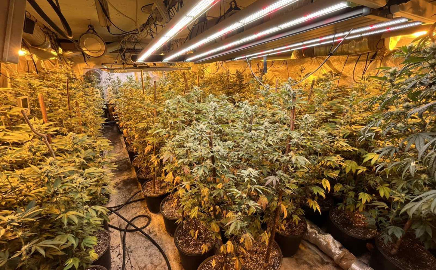 Udar na narko-mreže: Oduzeto skoro 280 kg droge i zatvorene tri laboratorije u KS