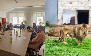 Šta se dešava sa životinjama u Pionirskoj dolini? Struka dala svoj sud