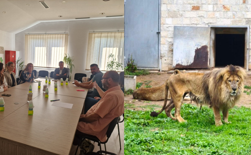 Šta se dešava sa životinjama u Pionirskoj dolini? Struka dala svoj sud