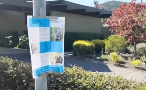 Horor iz žbunja u američkom gradu, stanovnici očajni: "Pojavila se niotkuda i napala me za nogu"