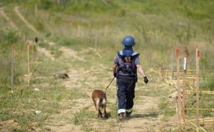 Na teren izašli demineri: Građani prijavili pronalazak eksplozivne naprave u Mostaru