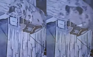 Prepoznajete li muškarca sa snimka? Lopov opljačkao buregdžinicu u Sarajevu