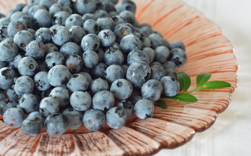 Rekordna cijena: U pojedinim marketima u BiH kilogram borovnica košta 64 KM