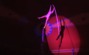 Zabava se pretvorila u horor: Akrobatkinja poginula u cirkusu, publika vrištala u sali