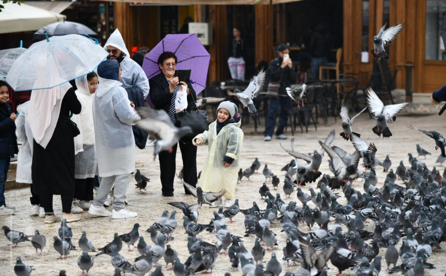 Golubovi kod Sebilja, turisti i kišne kapi: Nedjeljna priča iz Sarajeva