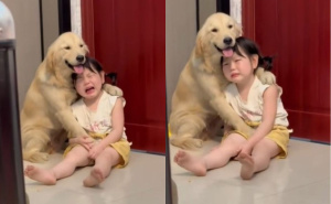 Snimak koji topi srca: Pogledajte kako pas tješi djevočicu nakon što ju je majka izgrdila