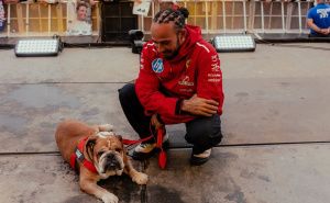 Lewis Hamilton se oprostio od voljenog psa Roscoea: "Najteža odluka u mom životu..."