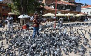 Jesenje Sarajevo: Kafa, šetnja i osmijesi prolaznika