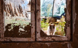 Radiosarajevo.ba u Donjoj Jablanici: Ruševine i danas svjedoče o razmjerima katastrofe nakon poplava