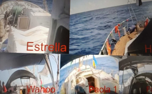 Prijenos uživo na YouTubeu: Flotila Sumud sve bliže Gazi, vijori se i zastava BiH