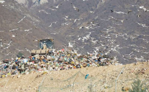 Najpoznatija deponija u BiH: Uborak zatvara vrata, Federacija sprema novi plan za otpad