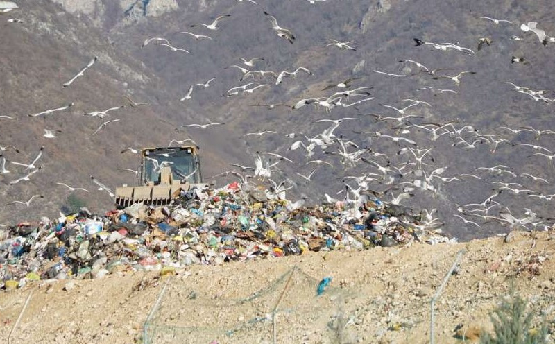 Najpoznatija deponija u BiH: Uborak zatvara vrata, Federacija sprema novi plan za otpad