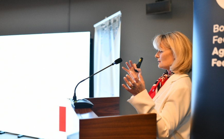 Liberalizaciju cijena obaveznog osiguranja autoodgovornosti odgoditi do ulaska u EU