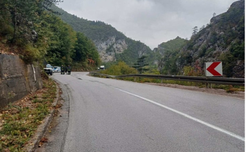 Višegrad: Renault sletio u provaliju, dvije žene poginule