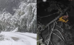 Prvi snijeg u oktobru izazvao haos u regionu: Saobraćaj paralisan, slomljeno drveće na putu